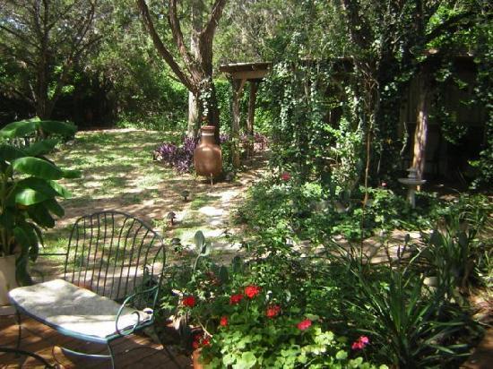 Casa Del Sol Bed And Breakfast Lakeway Pokoj fotografie