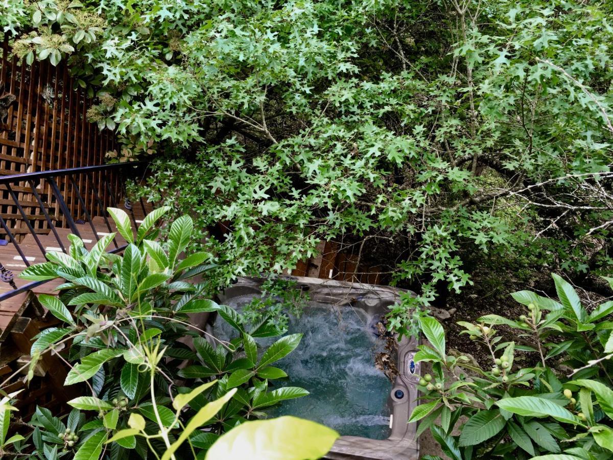 Casa Del Sol Bed And Breakfast Lakeway Exteriér fotografie